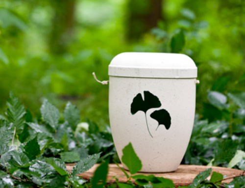 Wie grün kann eine Bestattung sein?