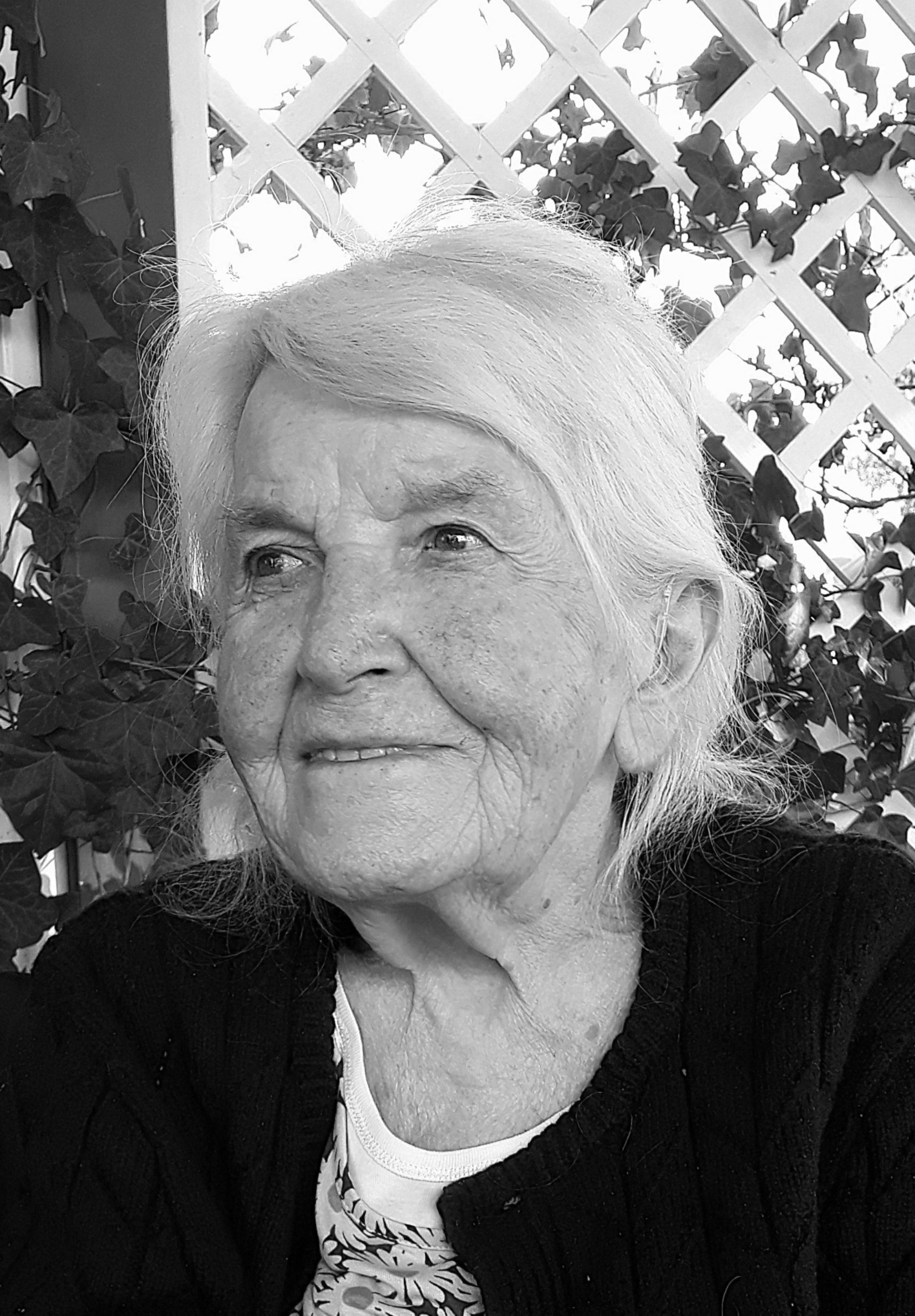 Anni Eichberger Bild